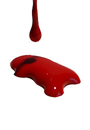 Herzblut:::Text // Worte & Wörter